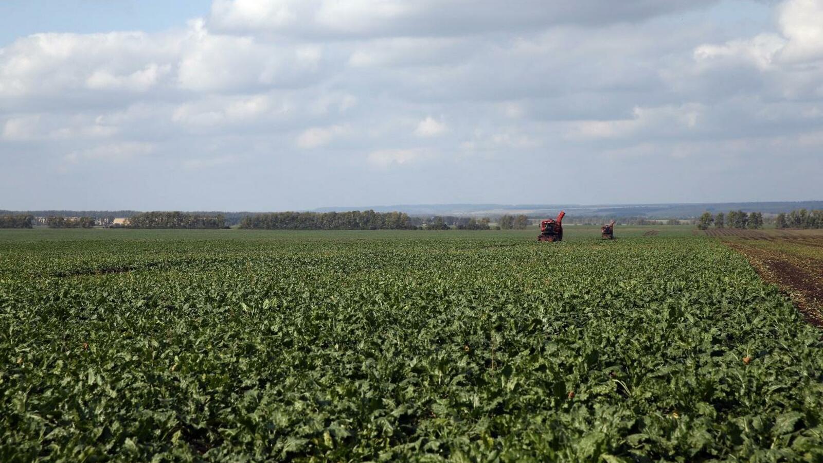пресс-служба Главы Башкортостана