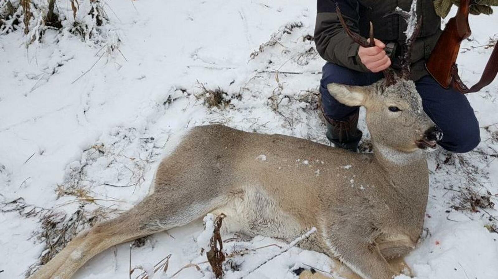 Гульфия Акулова