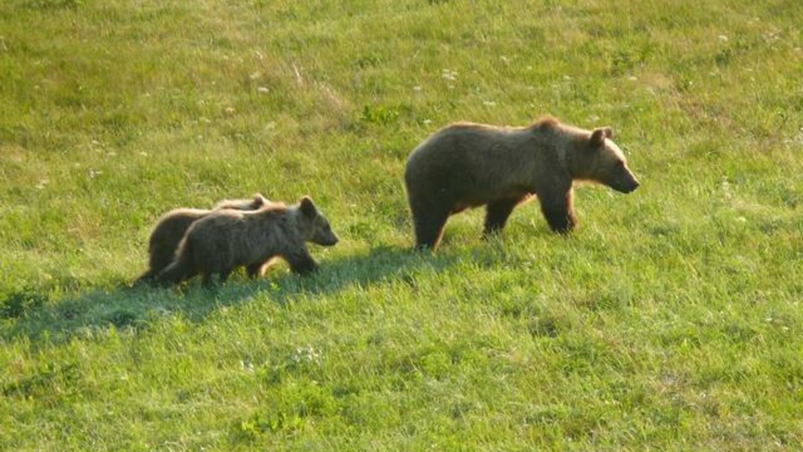 Нацпарк «Башкирия»