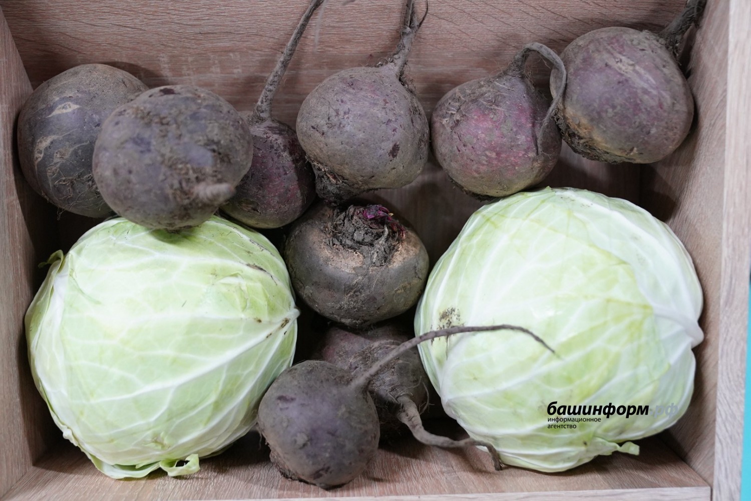 Олег Яровиков  ИА «Башинформ»