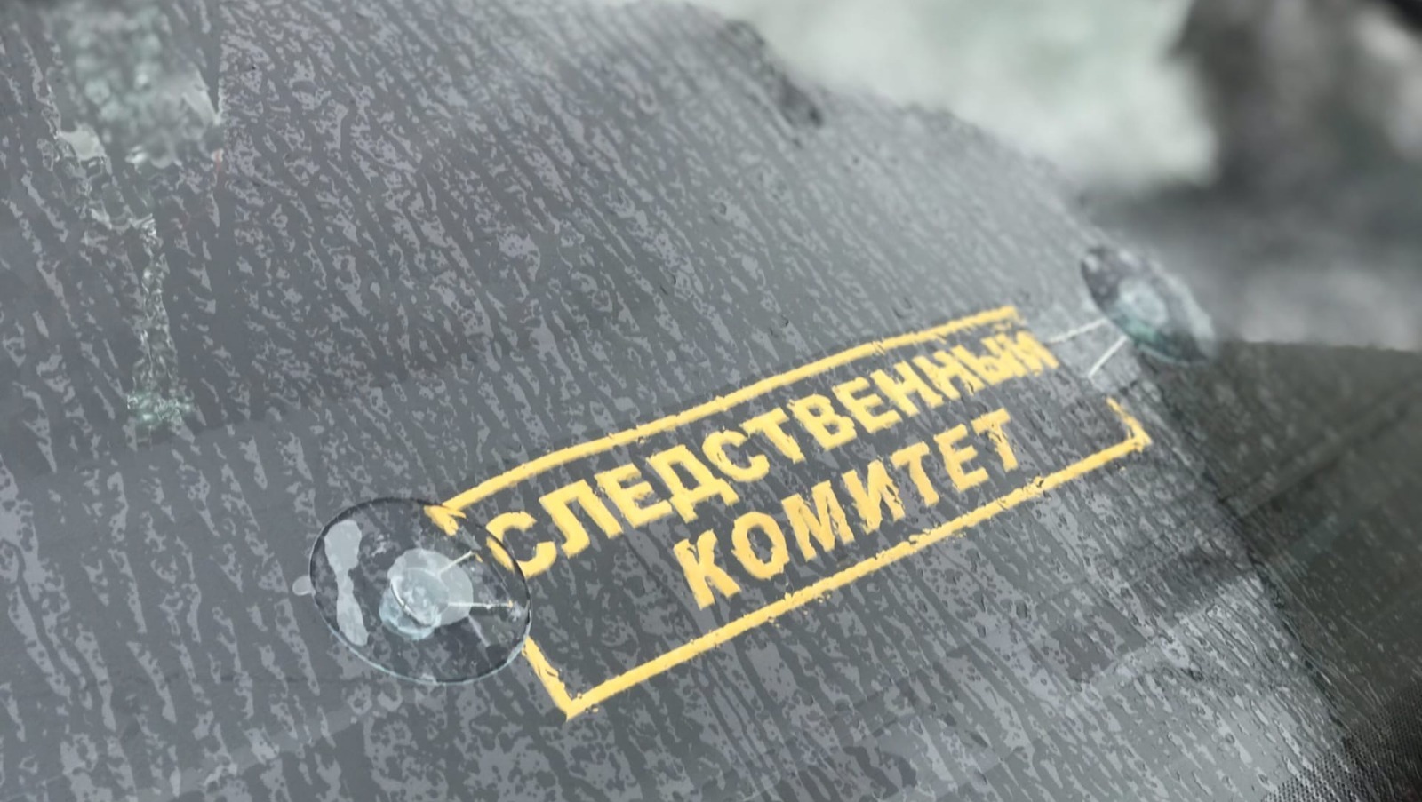 Ксения Калинина