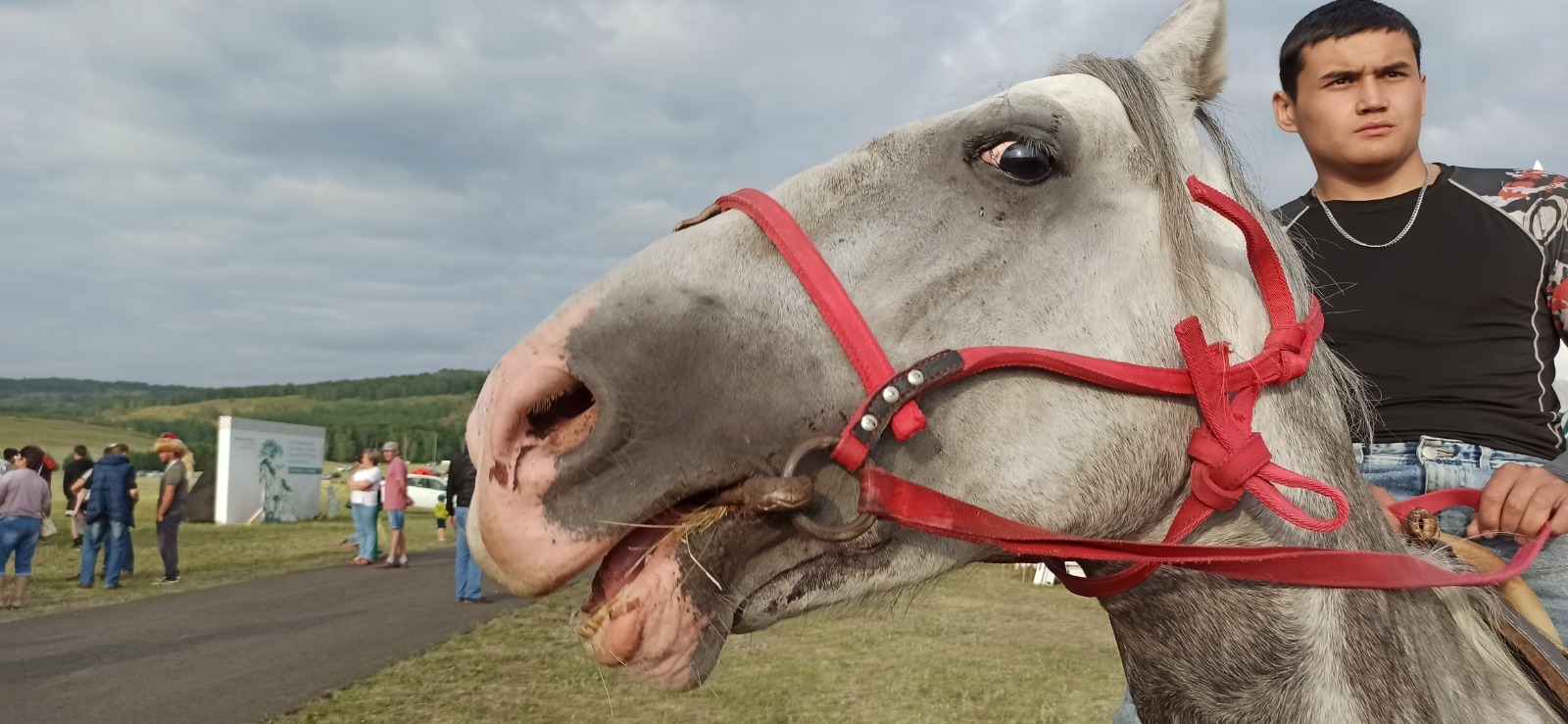 Лучшие моменты фестиваля Башкирская лошадь: конь бежит - земля дрожит