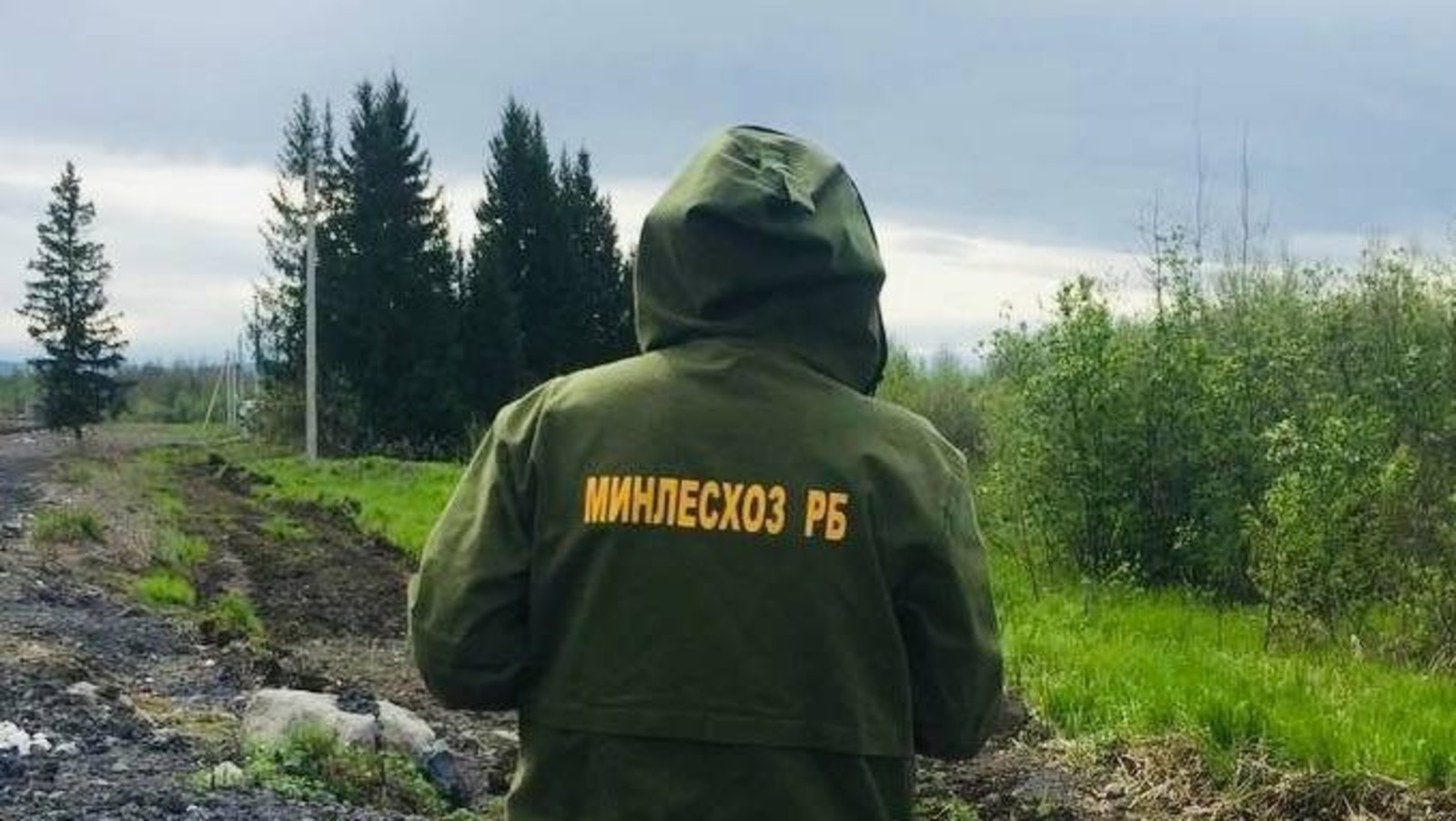 ТГ-канал Марата Шарафутдинова