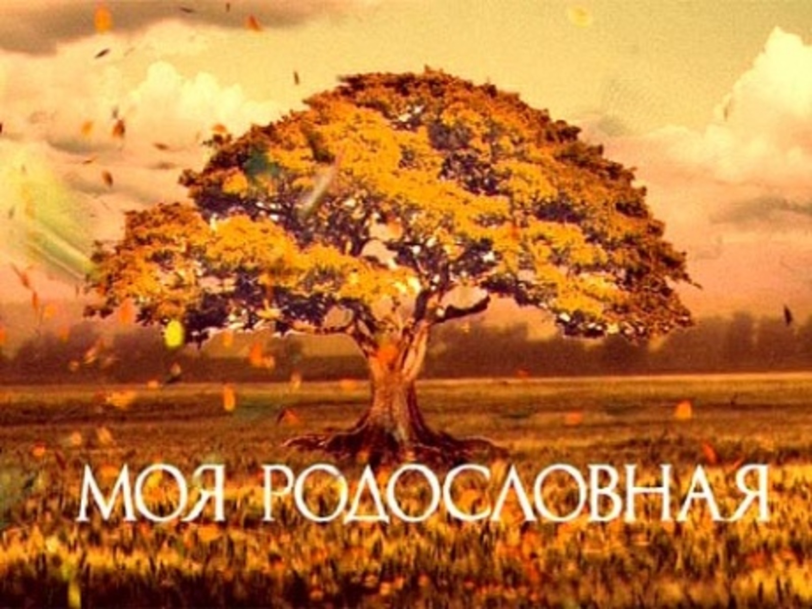 Фото с сайта www.1tv.ru.