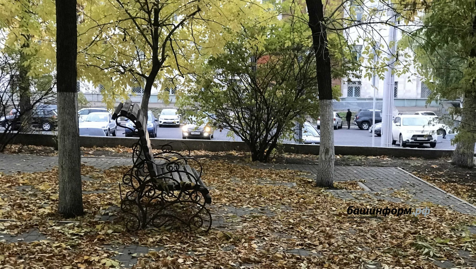 Ксения Калинина