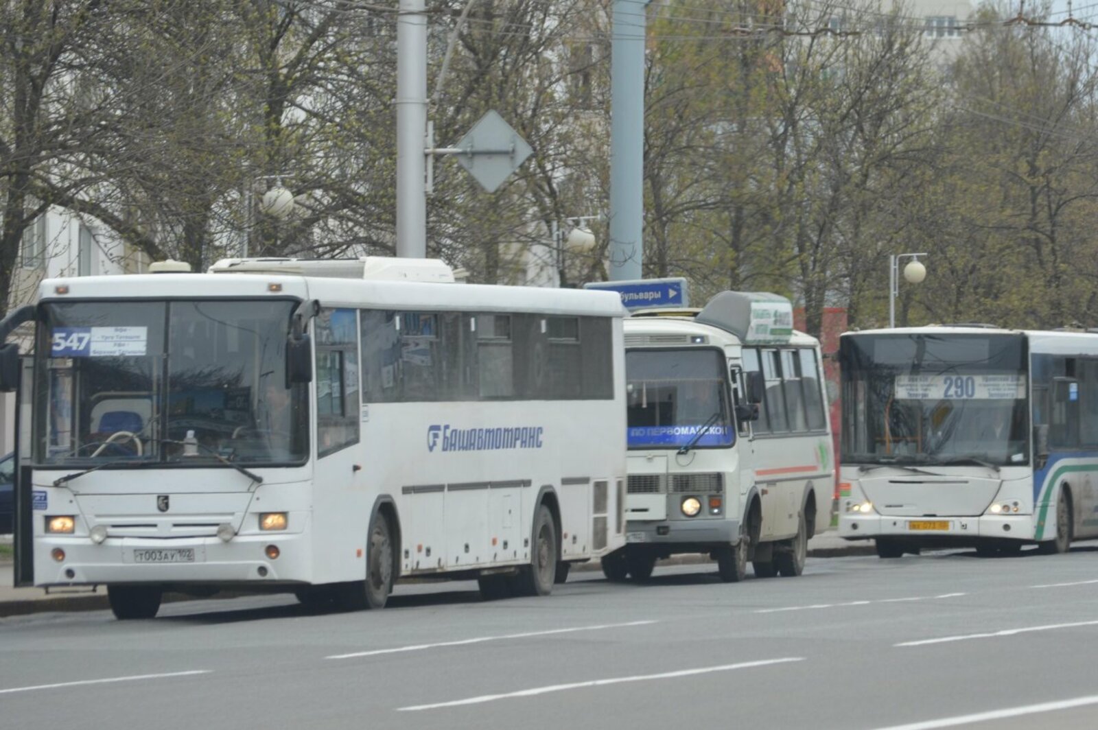 Ксения Калинина