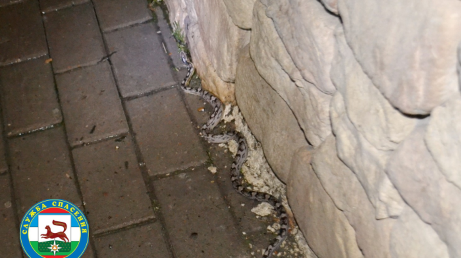 Служба спасения 112