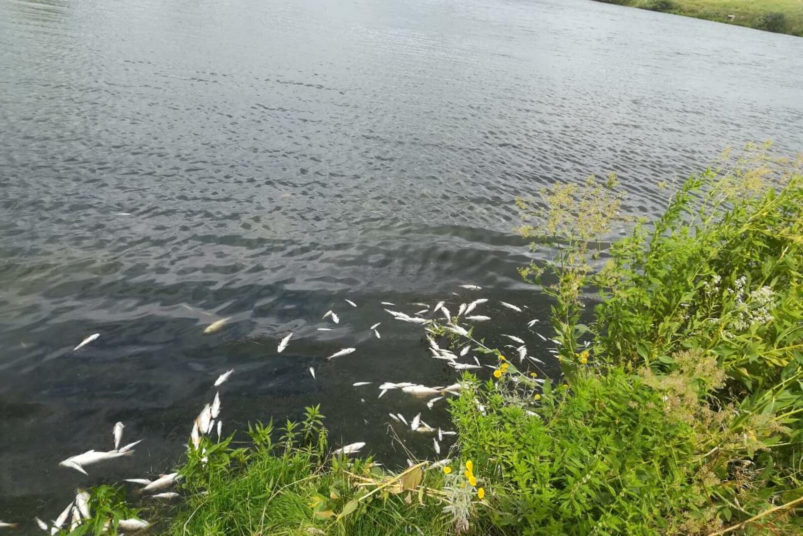 МЧС по РБ