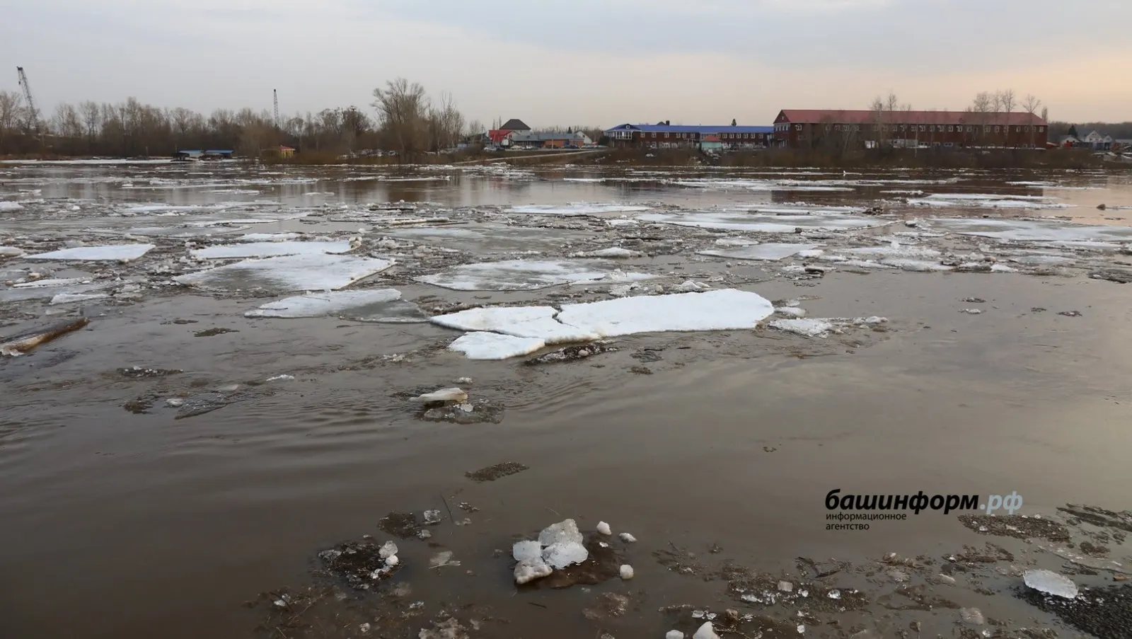 Валерий Шахов