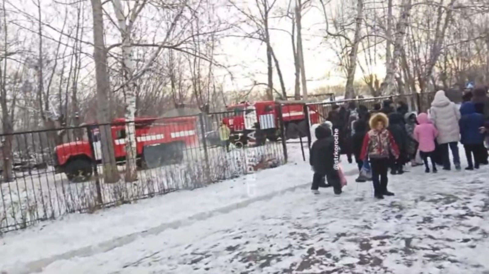 стоп-кадр видео соцсети