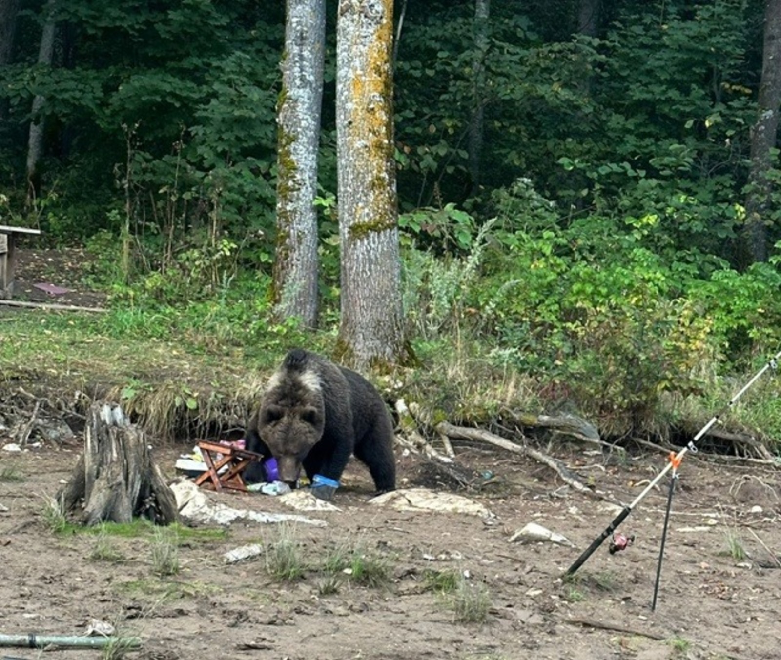 Нацпарк «Башкирия»