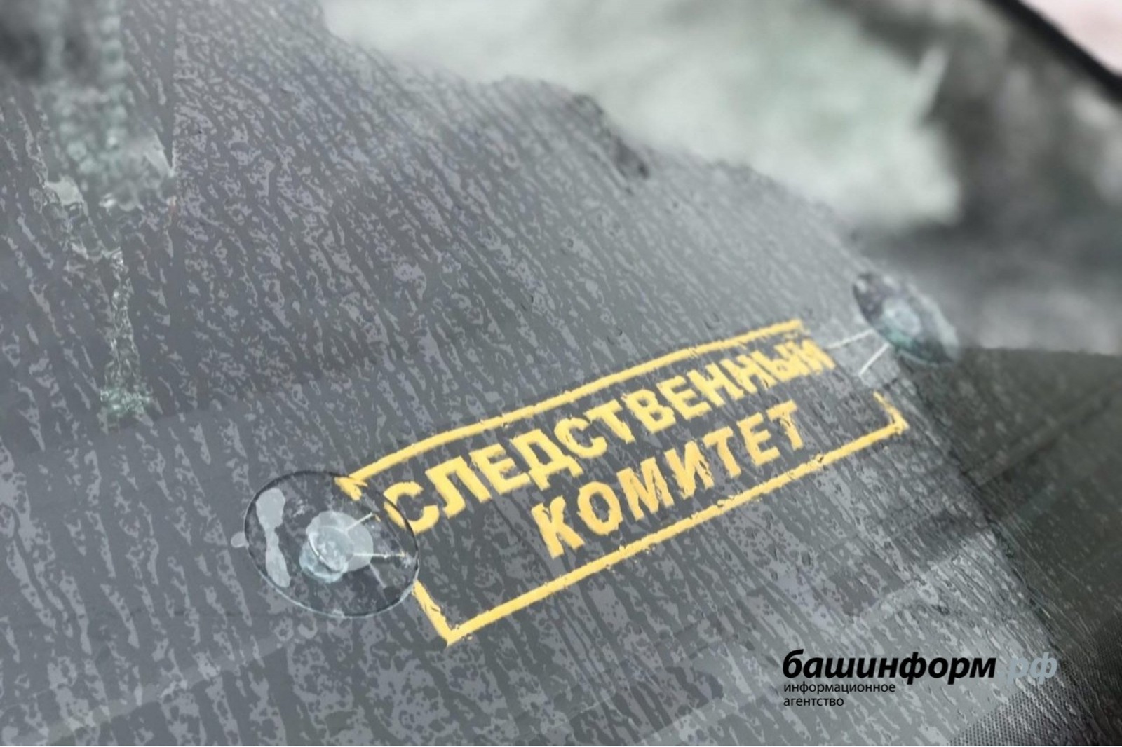 Ксения Калинина