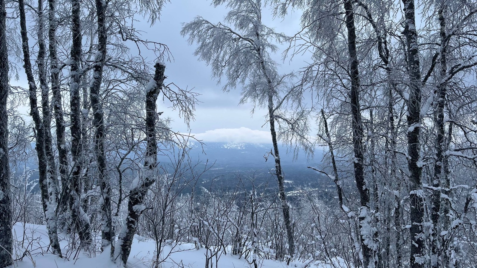 Ляйсан Закирова ИА "Башинформ"