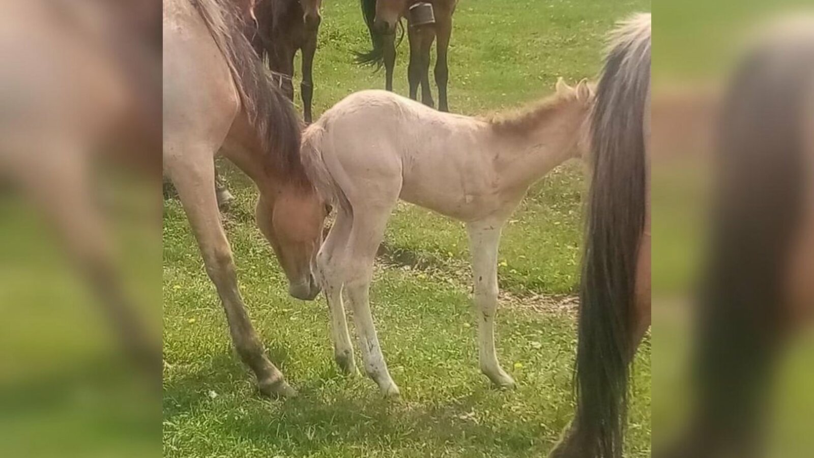 Артур Идельбаев