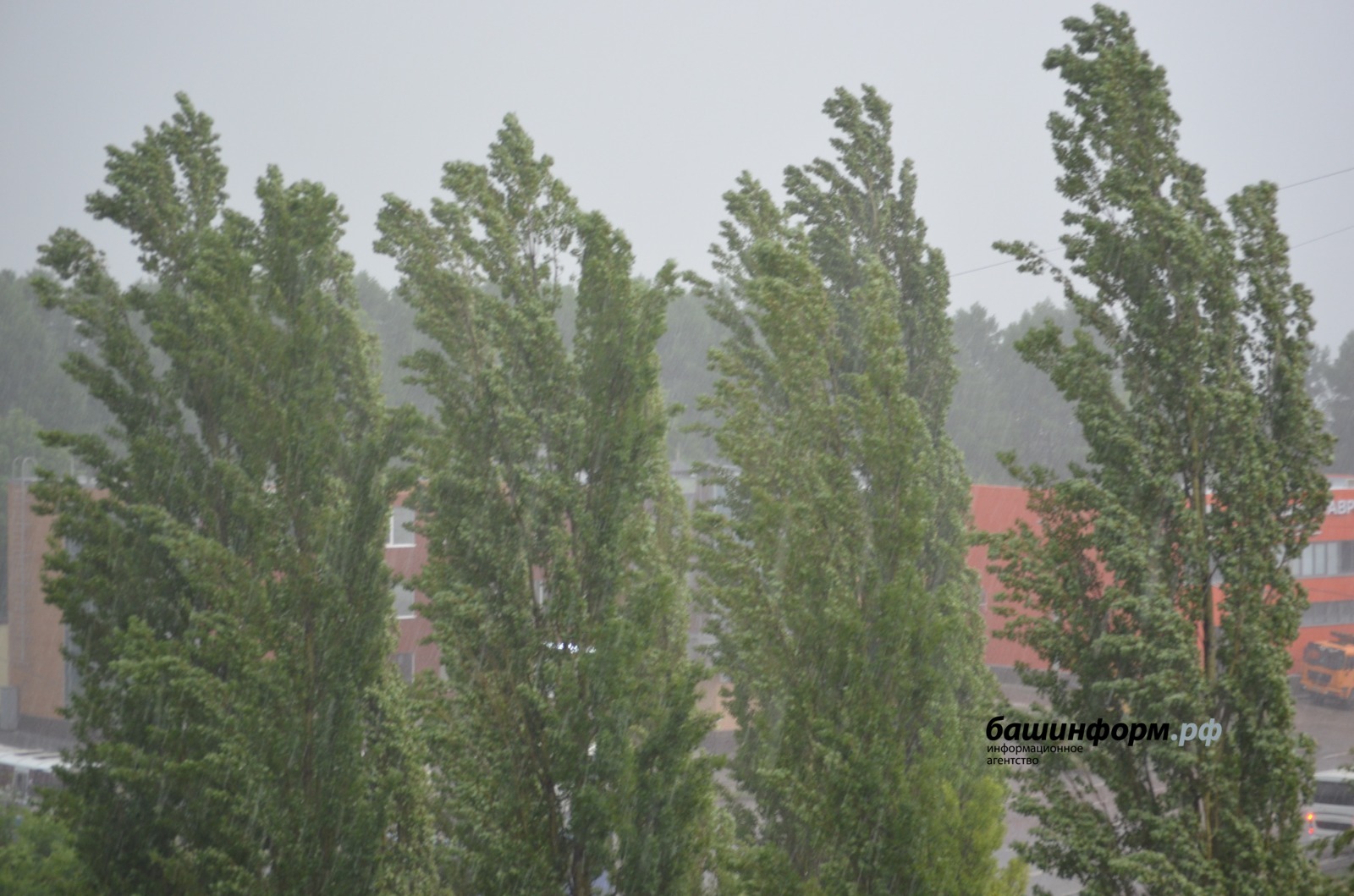 Ксения Калинина