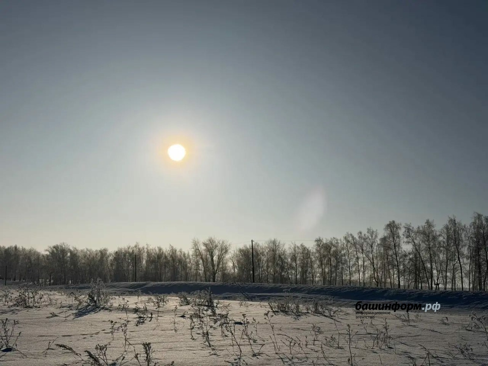 Юлия Бахшиева / «Башинформ» мәғлүмәт агентлығы