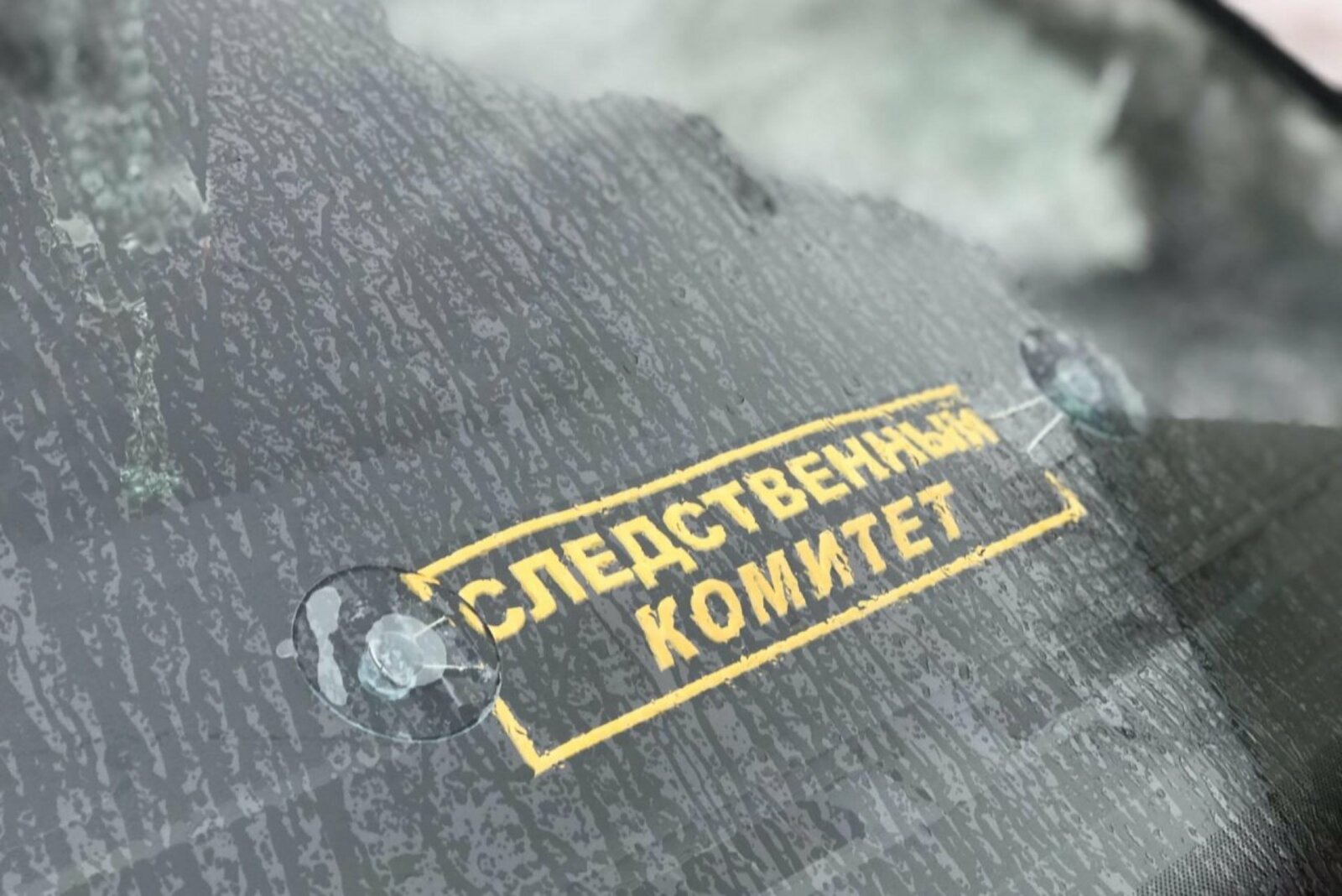 Ксения Калинина