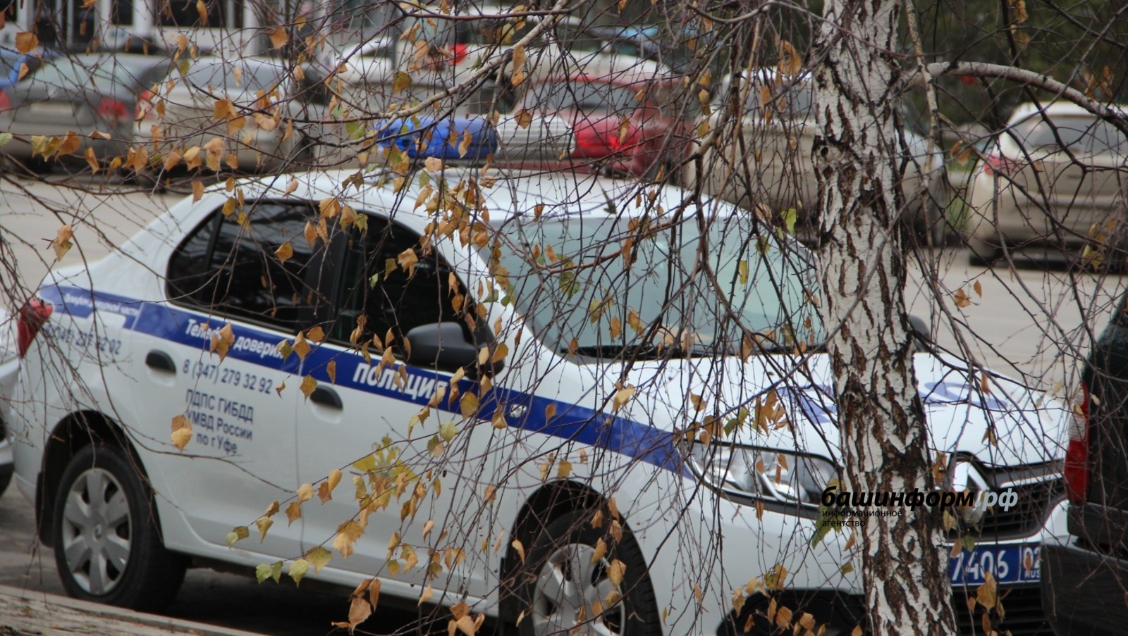 Ксения Калинина   ИА «Башинформ»