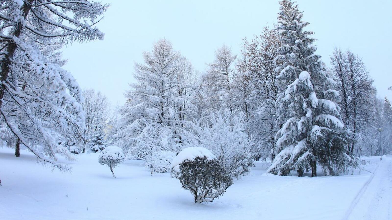 ИА «Башинформ»