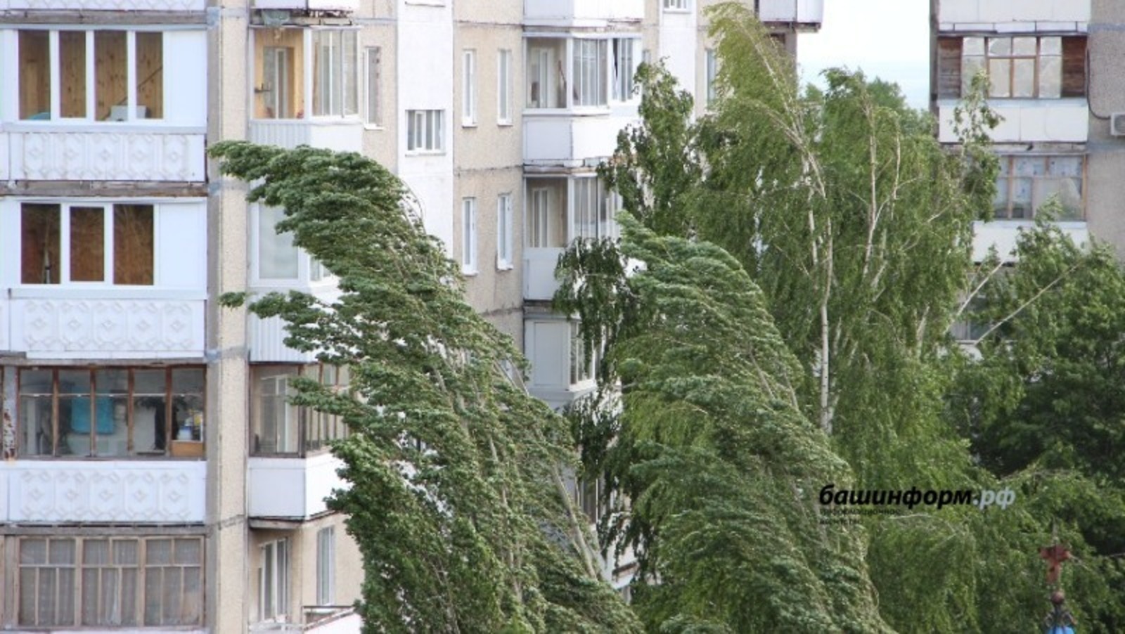 МЧС по Башкирии предупреждает о шквалистом усилении ветра