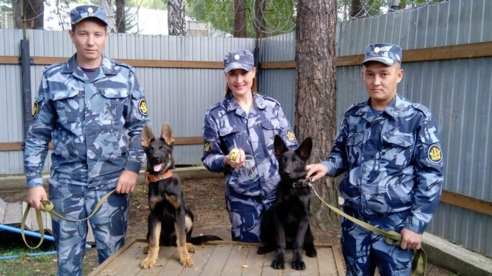 ГУФСИН по Свердловской области