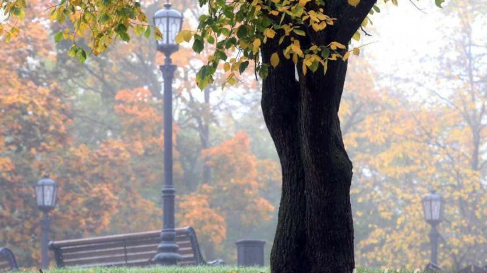 ИА «Башинформ»