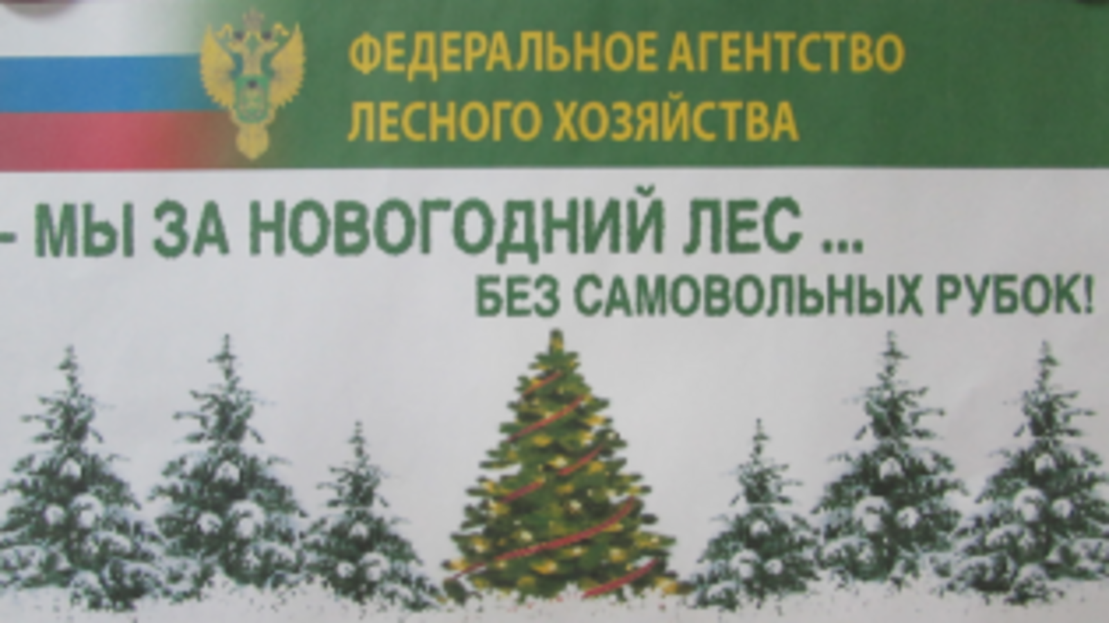 пресс-служба Минлесхоза РБ