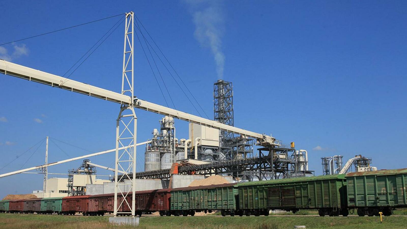 Андрей Старостин