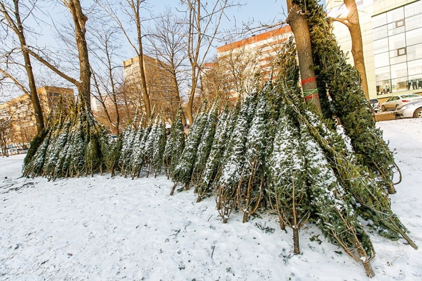 архив администрация г. Уфы