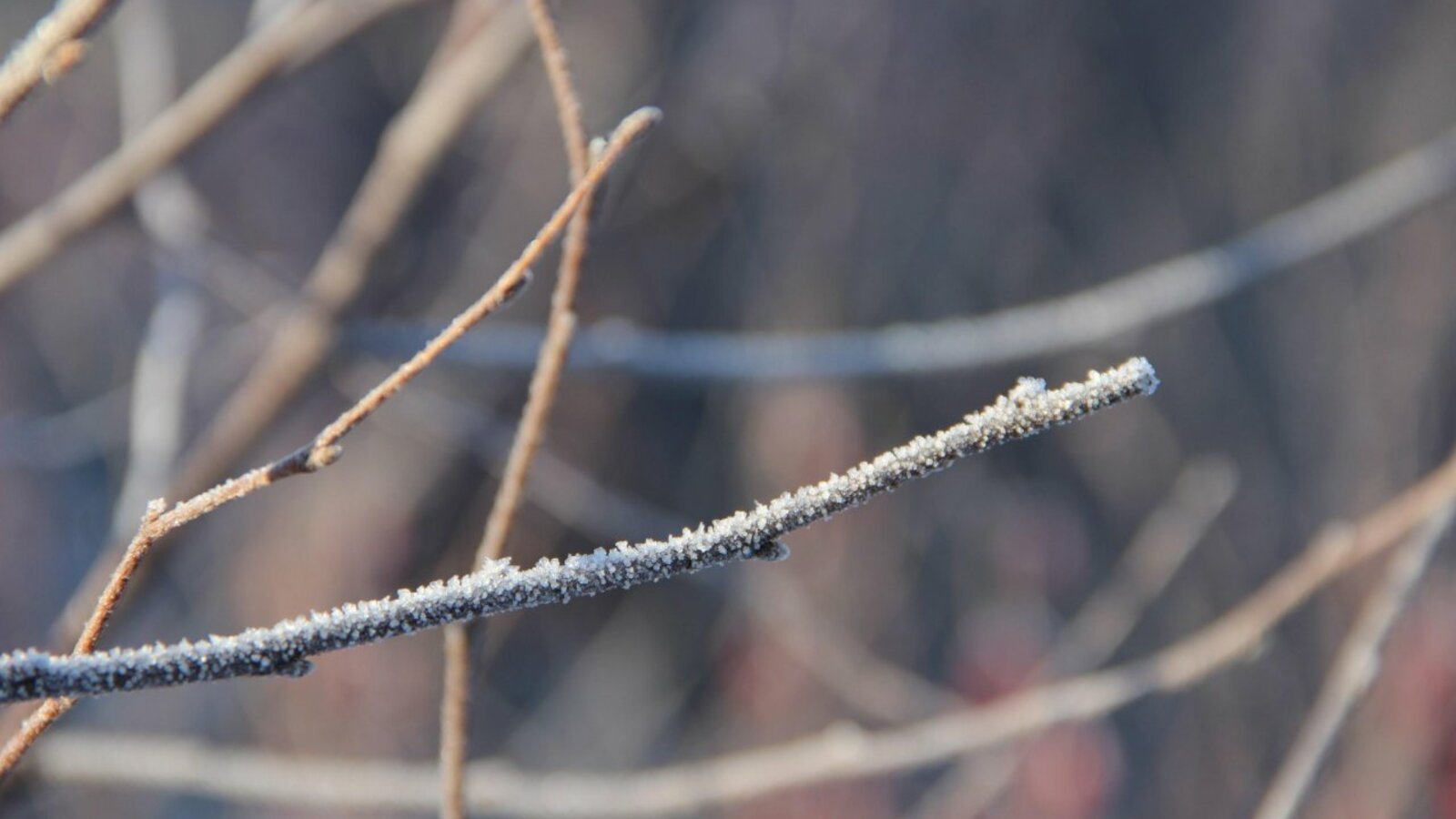 ИА «Башинформ»