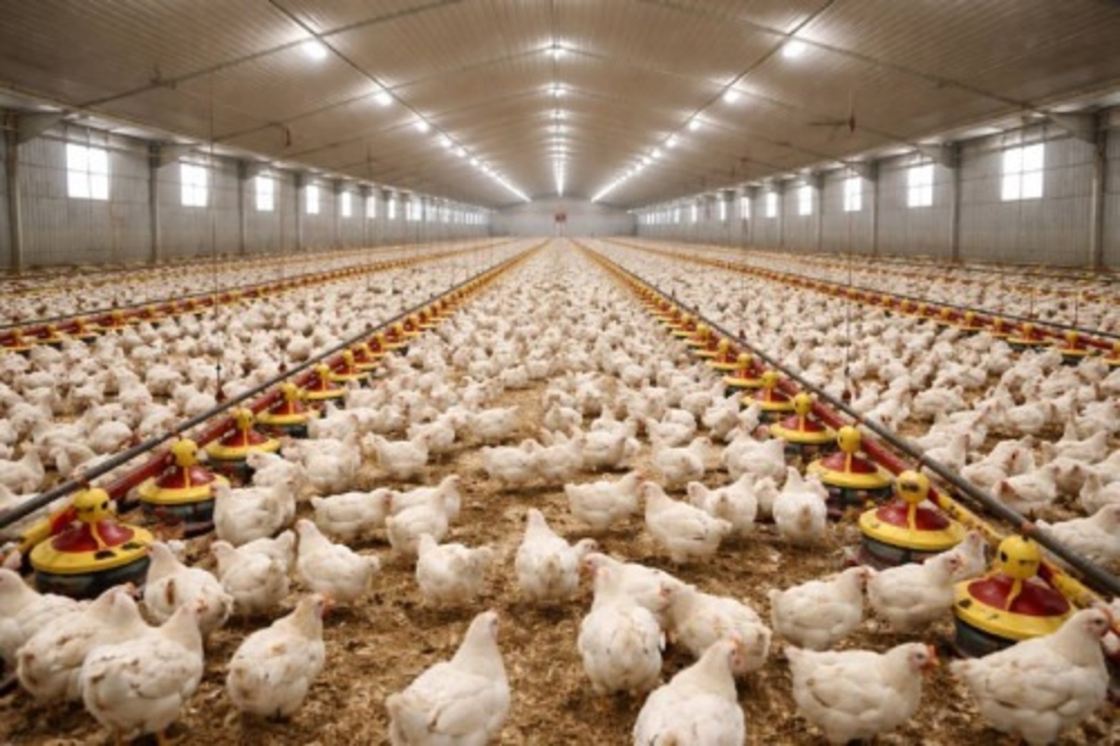 пресс-служба   правительство РБ