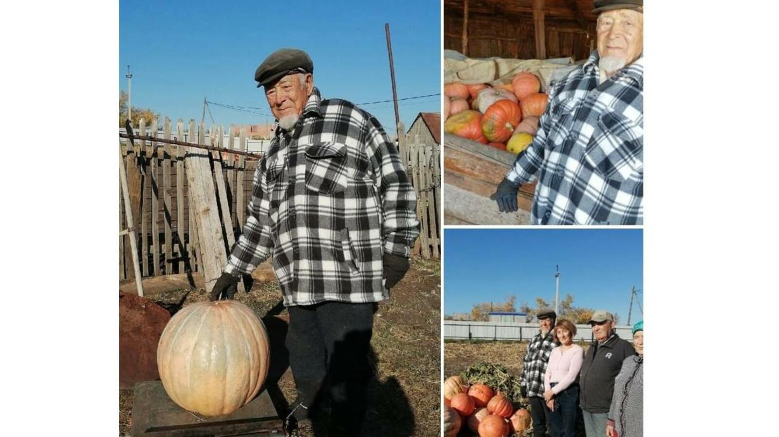 СИБАЙ ГОРОД | Подслушано, Vk