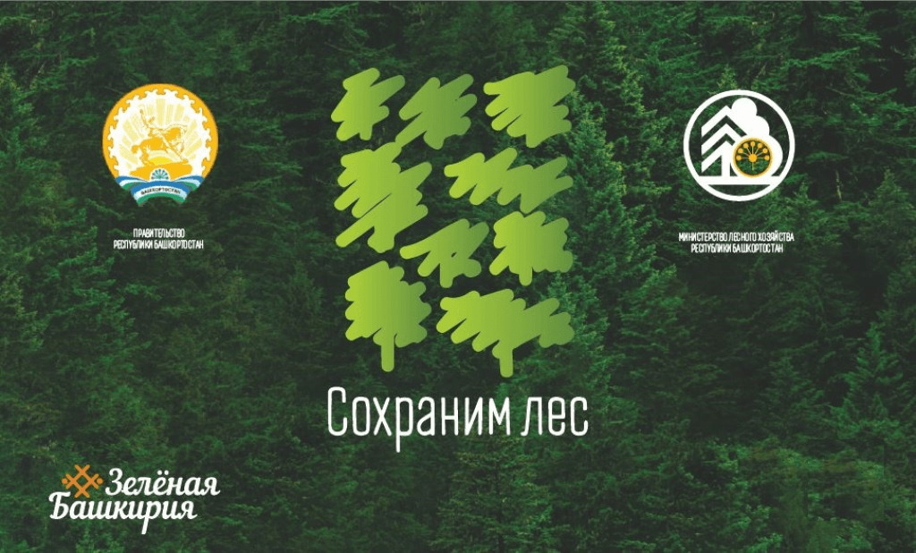 В Башкирии в рамках Всероссийской акции Сохраним лес лесоводы высадят 240 тысяч новых деревьев