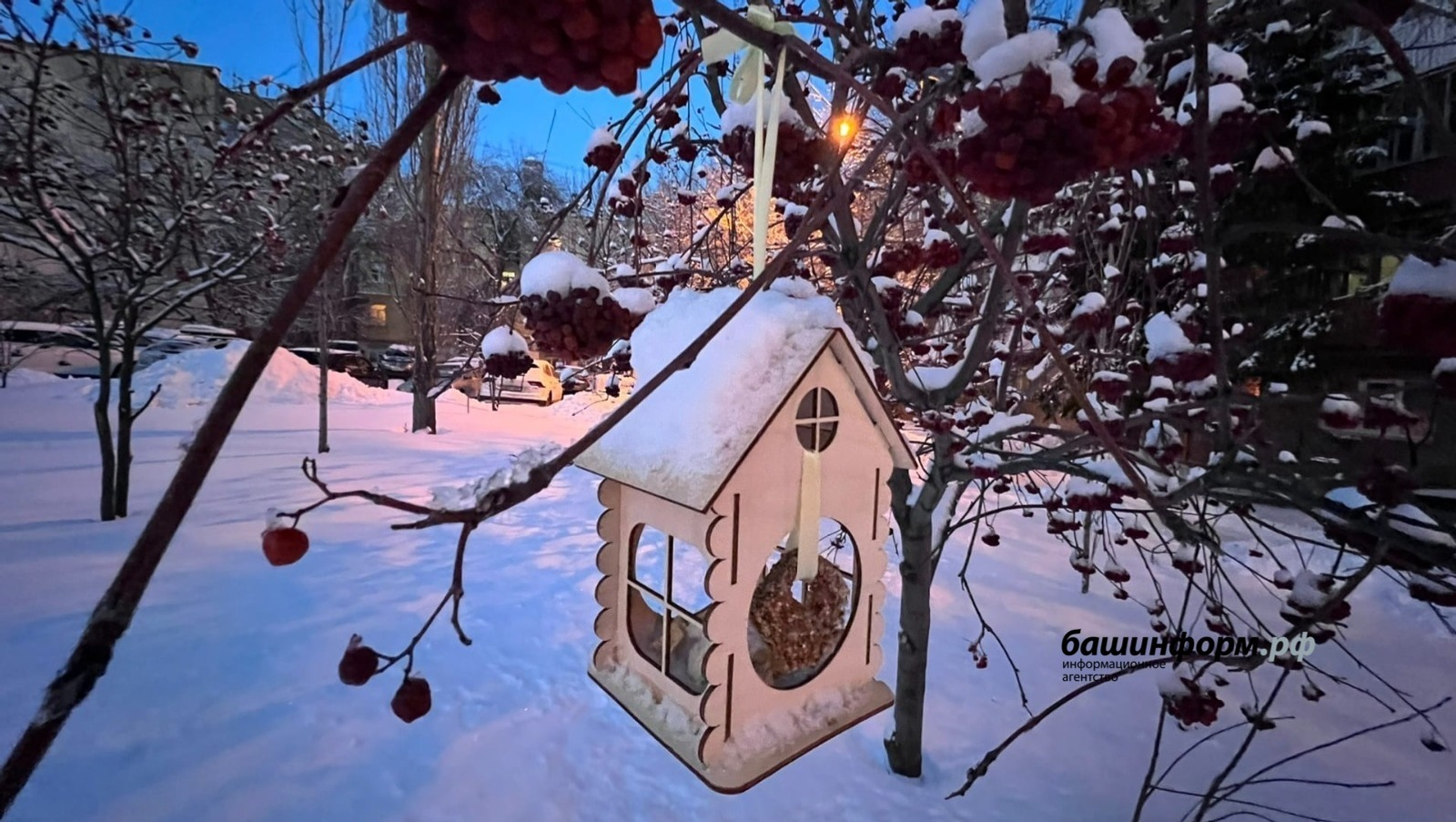 Ксения Калинина