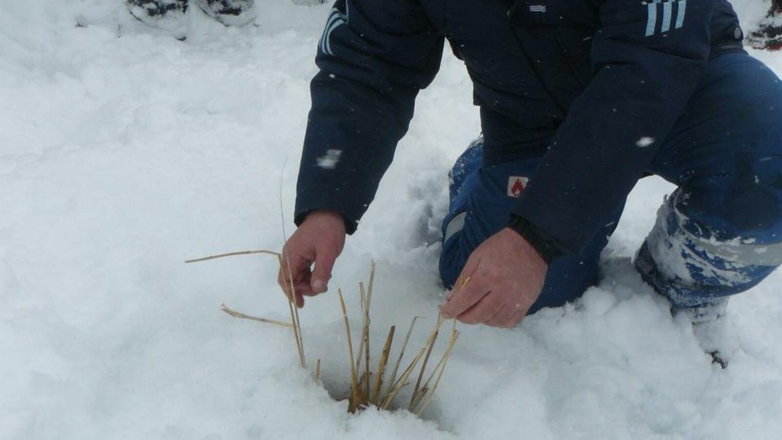 Минэкологии РБ