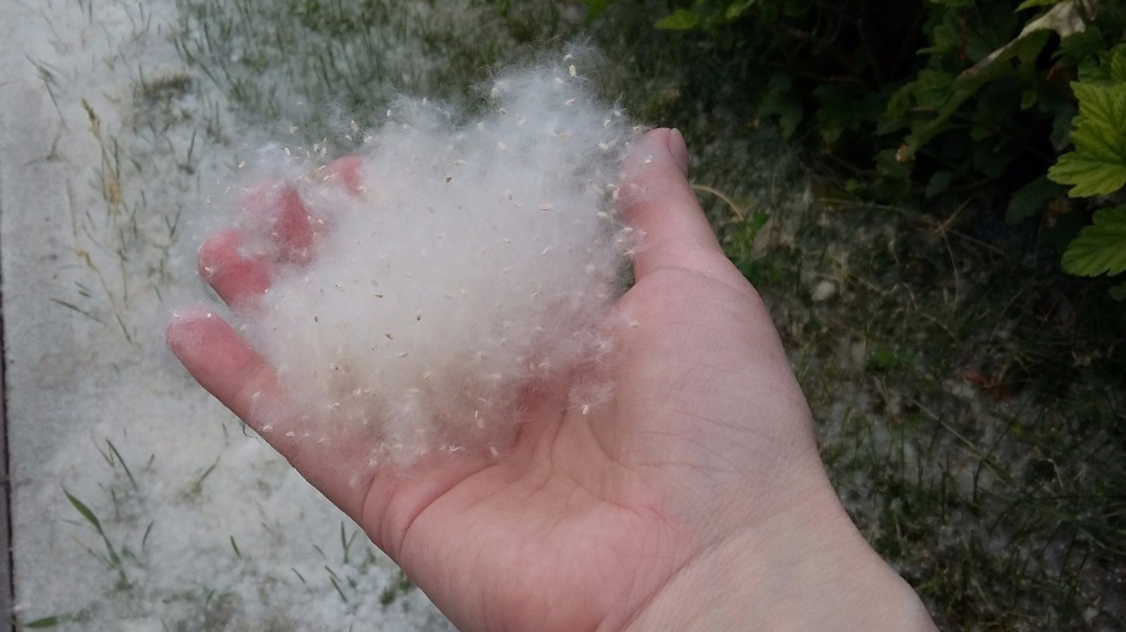 Ксения Калинина