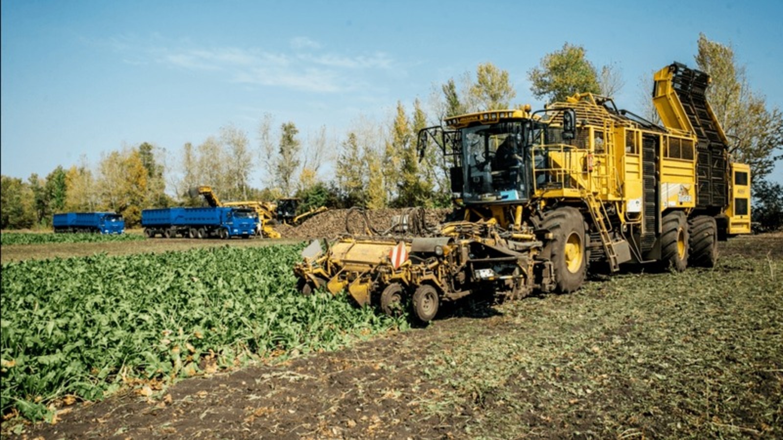 пресс-служба Минсельхоза Башкортостана