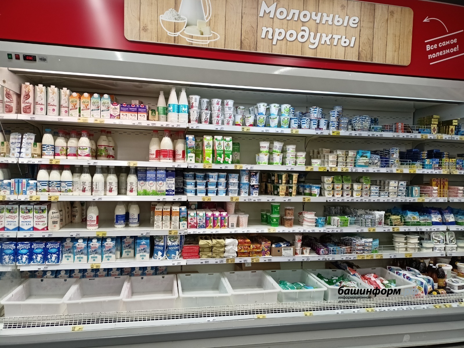 Галина Бахшиева