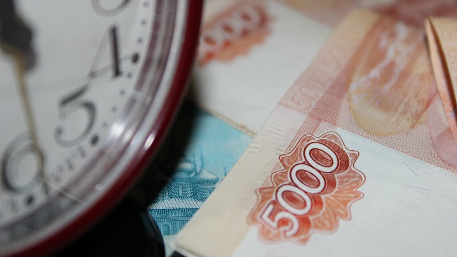 Карина Камаева