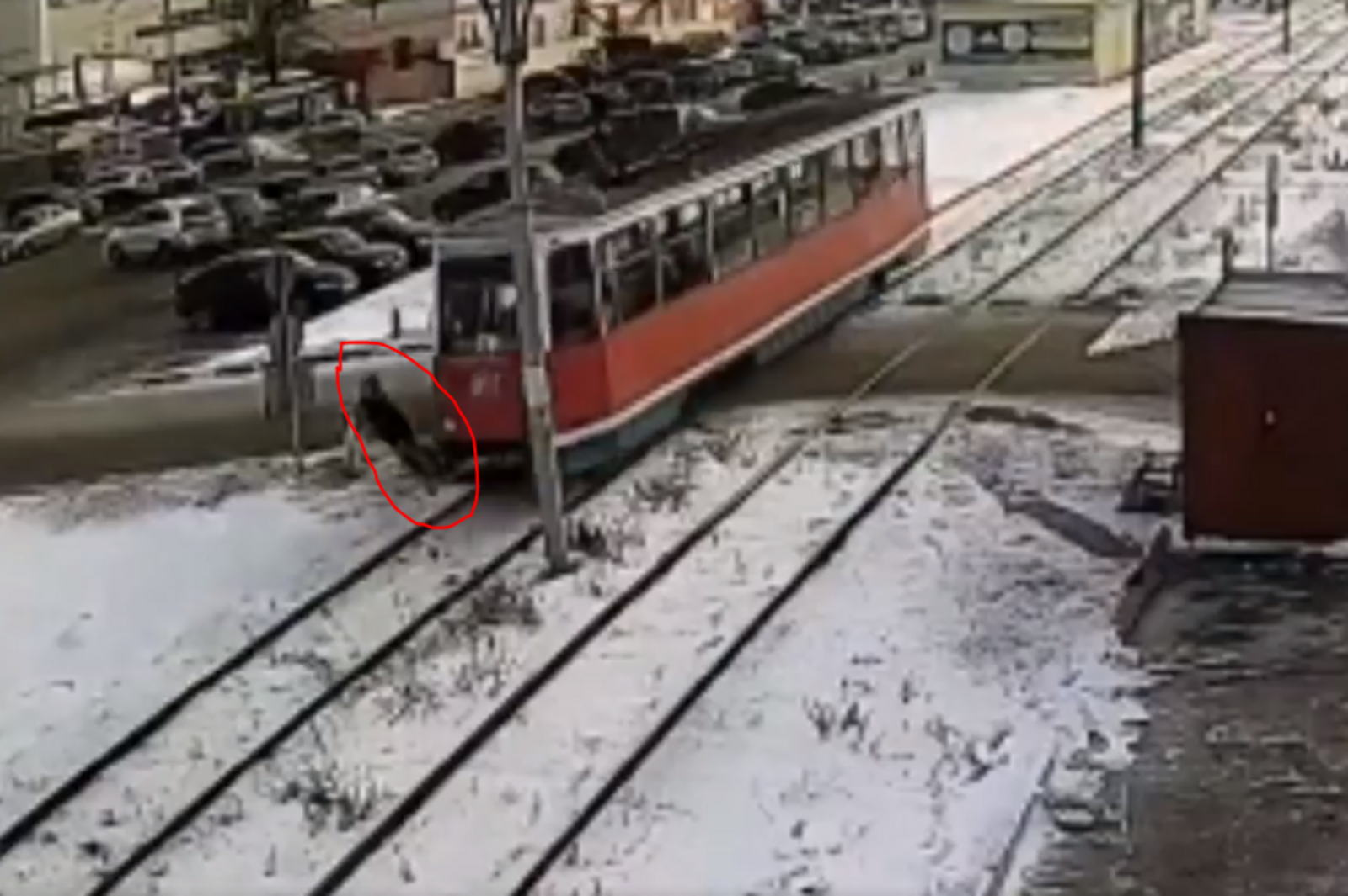 Стоп-кадр видео