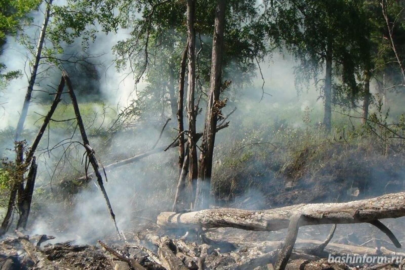 Башҡортостан Республикаһы буйынса Ғәҙәттән тыш хәлдәр министрлығы