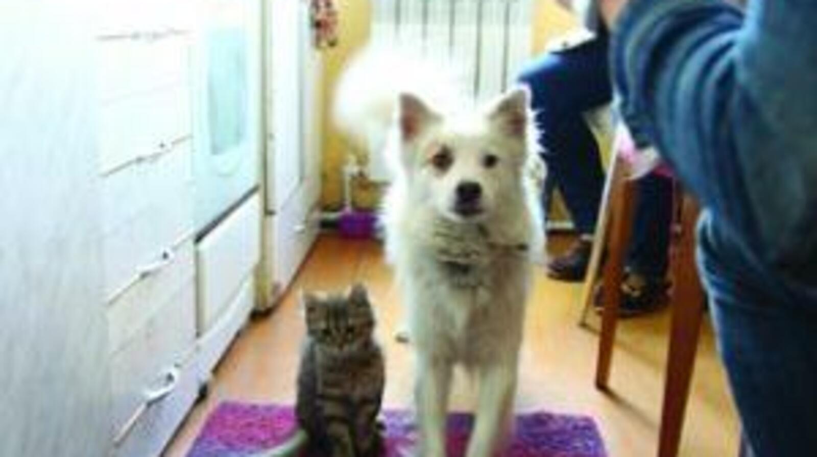 газета «Октябрьский нефтяник»