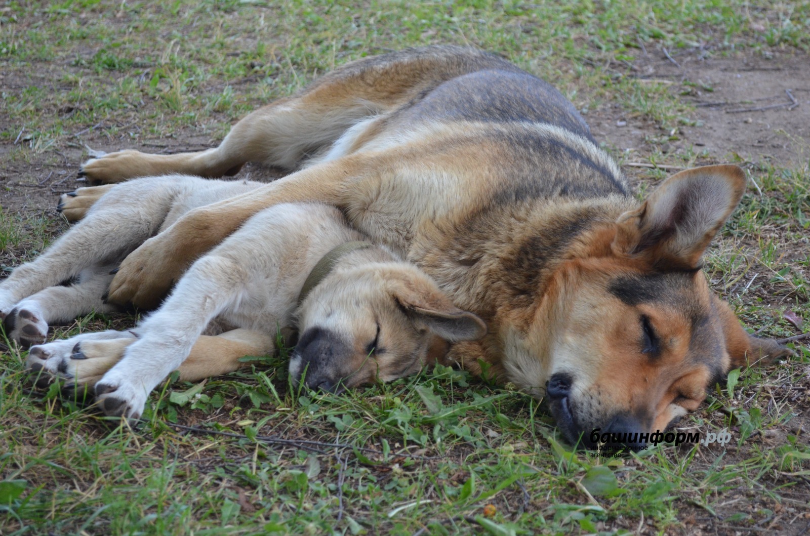 Ксения Калинина   ИА «Башинформ»