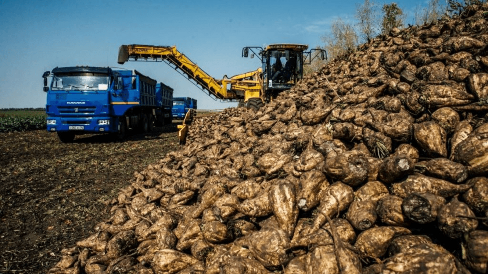 пресс-служба Минсельхоза Башкирии