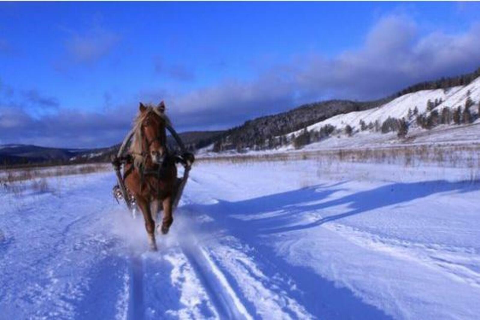 tengri.ru