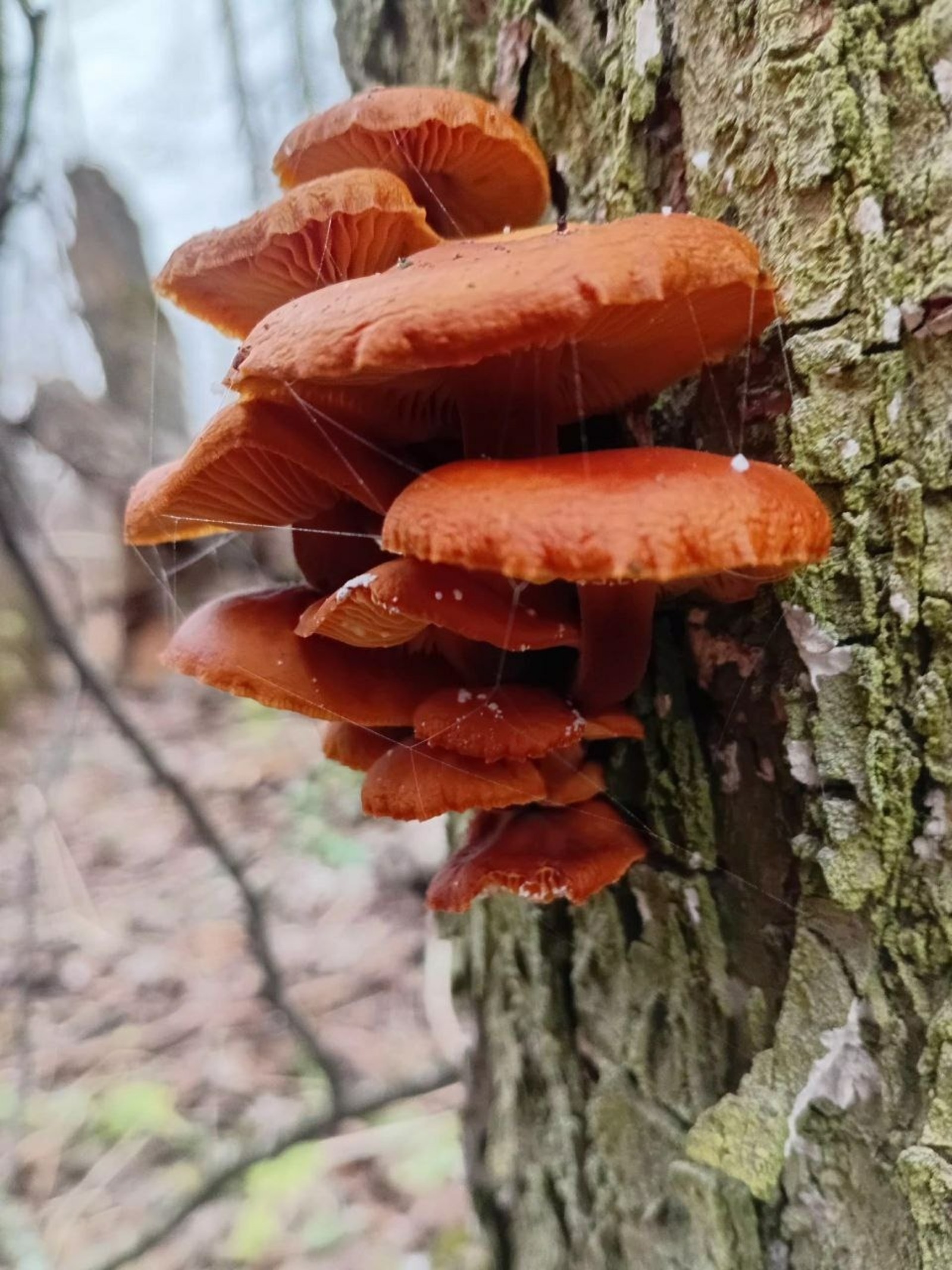 пресс-служба нацпарк «Башкирия»