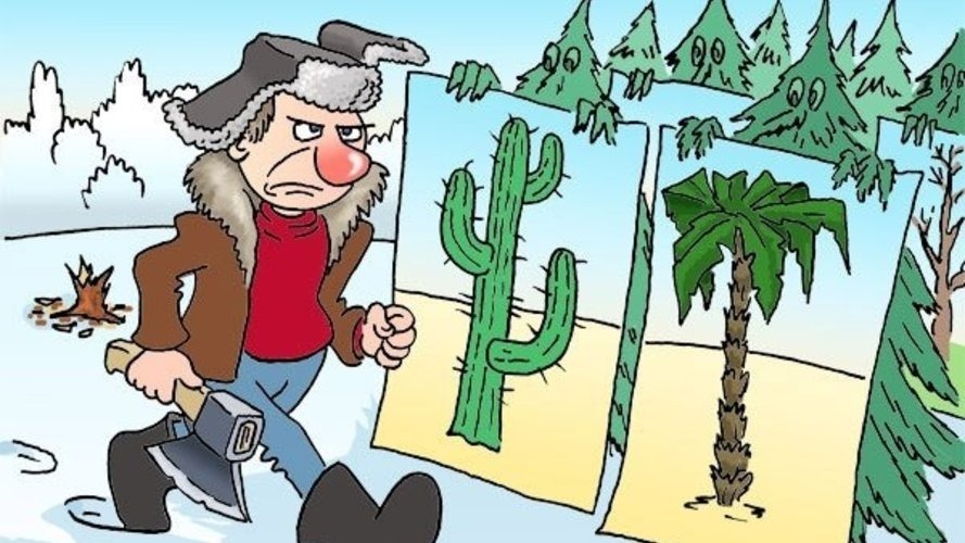 Лето карикатура южных зим. Лес карикатура. Лесник карикатура. С новым годом Лесники. Юмор Лесников.