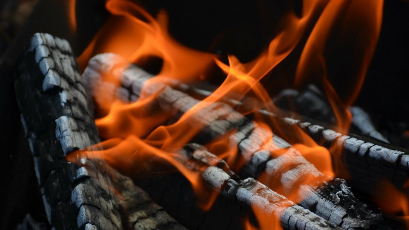 Ксения Калинина