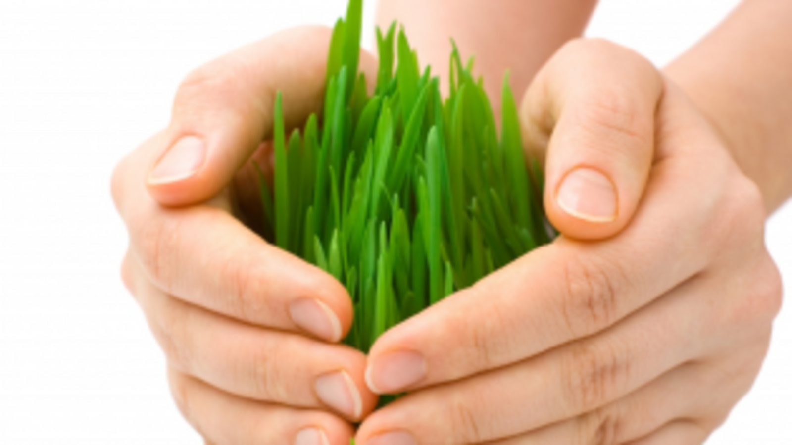 Минсельхоз РБ