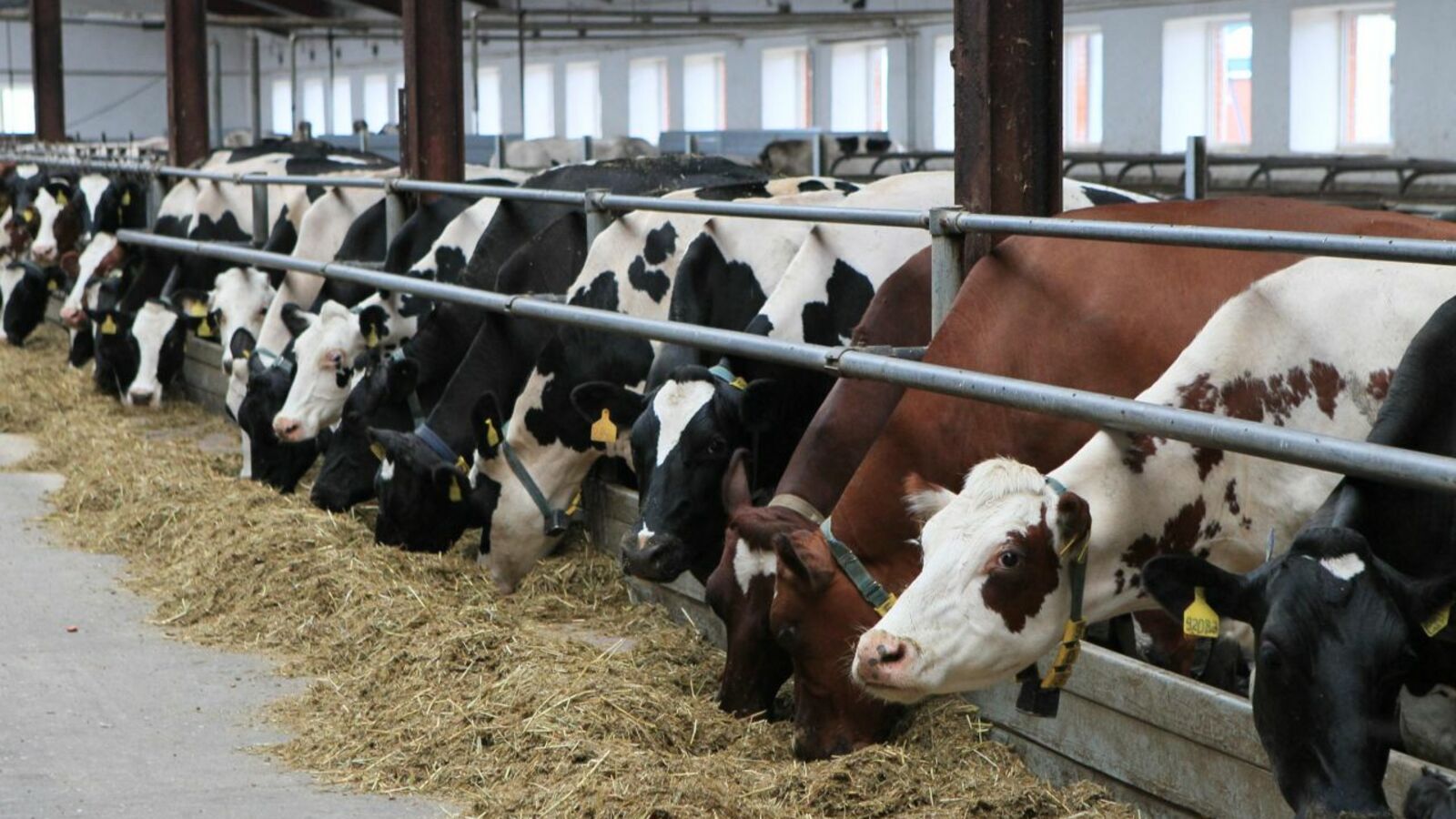 администрация Иглинского района